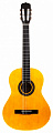 Aria Fiesta FST-200-53 N гитара классическая, размер 1/2