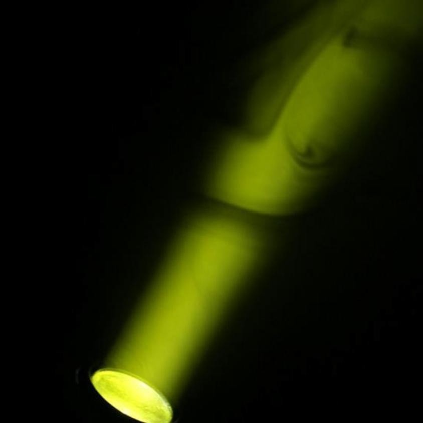 Ross Mobi LED Spot 60 вращающаяся голова светодиодная 60 Вт