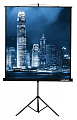 Lumien LMV-100102 экран на штативе Master View 153 x 153 см