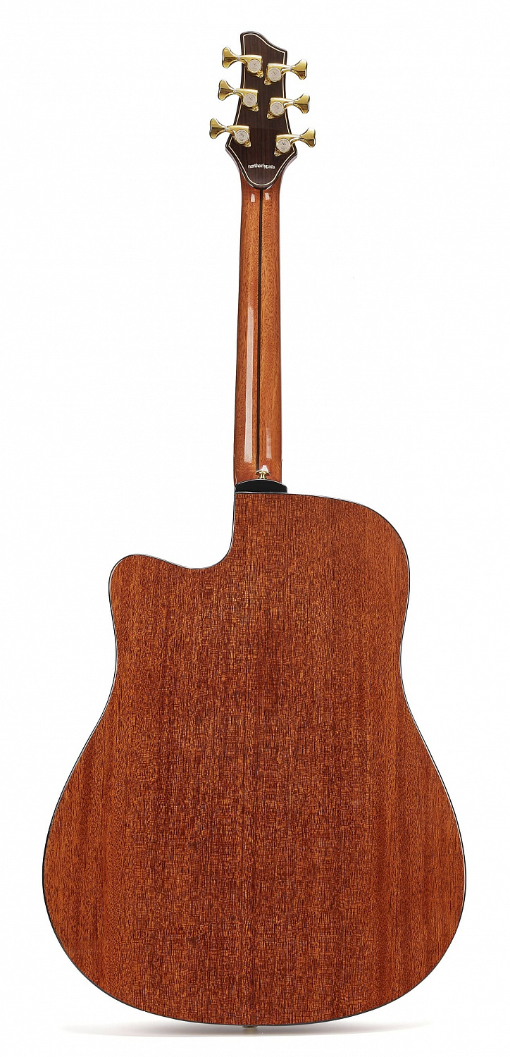 NG DM411SCE Peach электроакустическая гитара, цвет санберст, чехол в комплекте