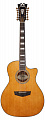 D'Angelico Premier Fulton VN  электроакустическая 12-струнная гитара, цвет натуральный